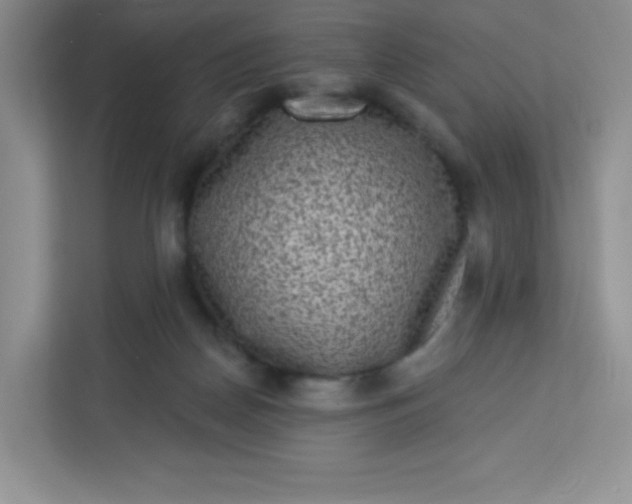 X0000113320170200909281215