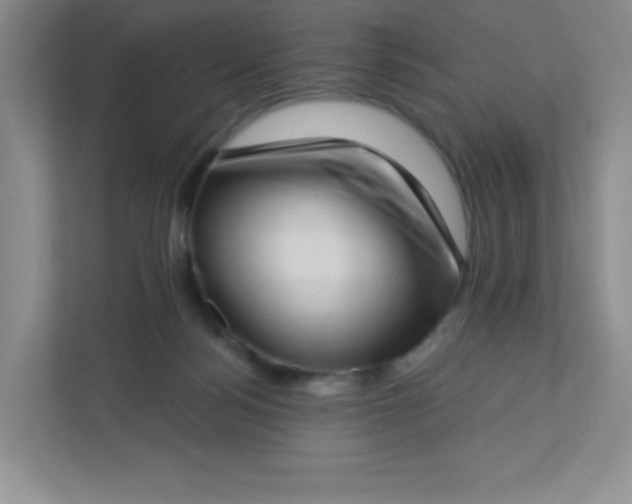 X0000113320172200909281215