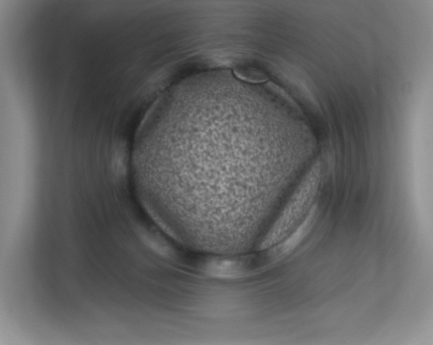 X0000113320174200909281215