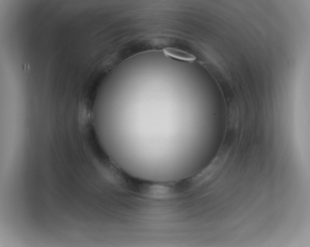 X0000113320176200909281215