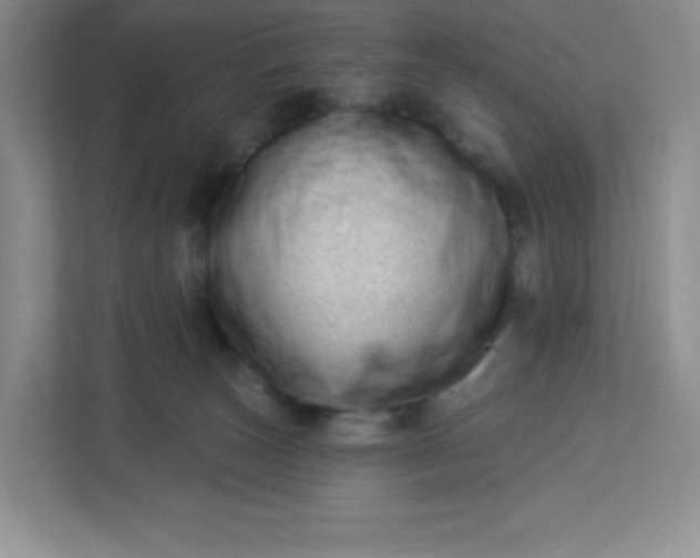 X0000113320179200909281215