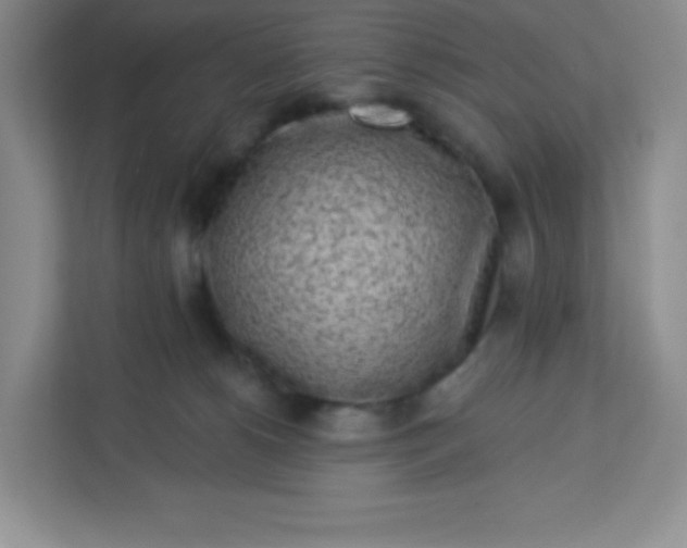 X0000113320180200909281215