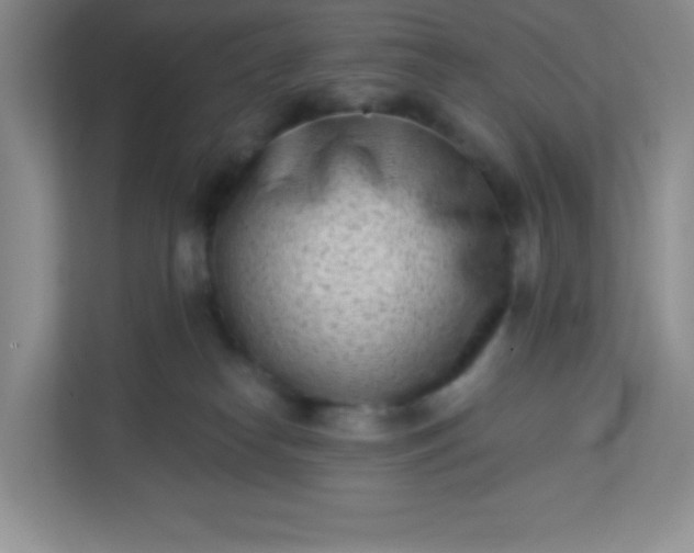 X0000113320182200909281215