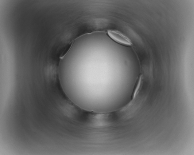 X0000113320184200909281215