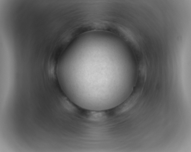 X0000113320185200909281215