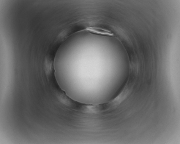 X0000113320188200909281215