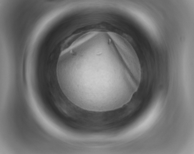 X0000113320191200909281215