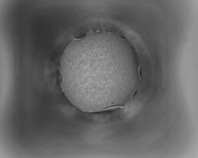 X0000113320192200909281215