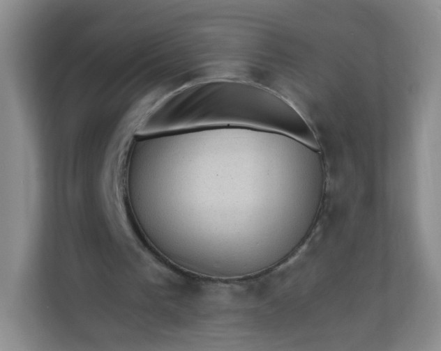 X0000113320193200909281214