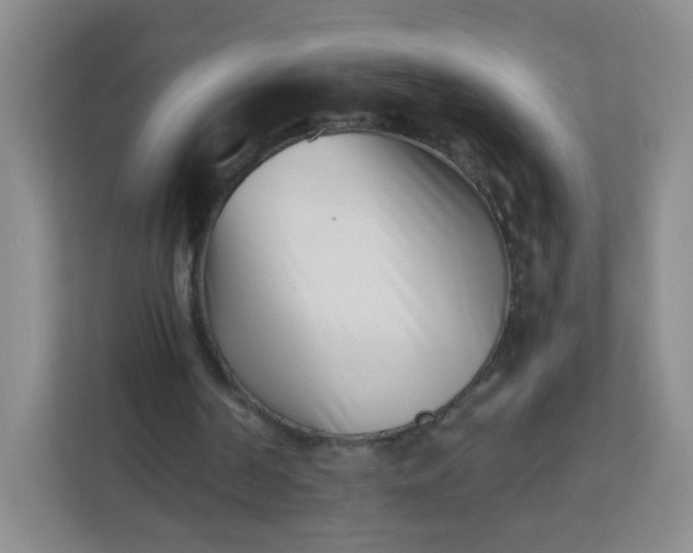 X0000113320194200909281214