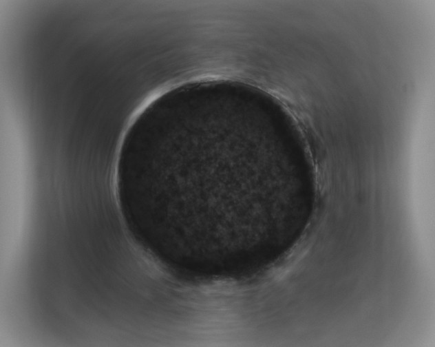 X0000113320196200909281214