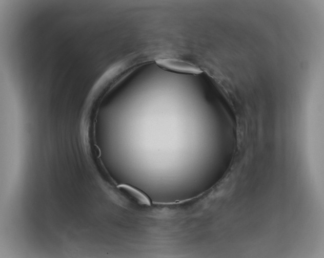 X0000113320197200909281214