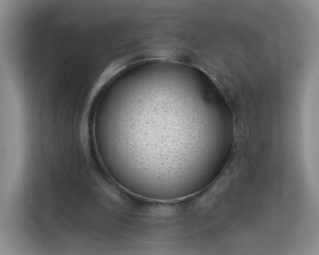 X0000113320198200909281214