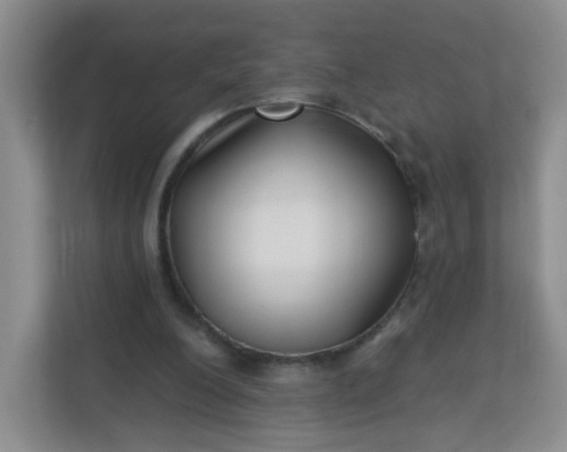 X0000113320200200909281214