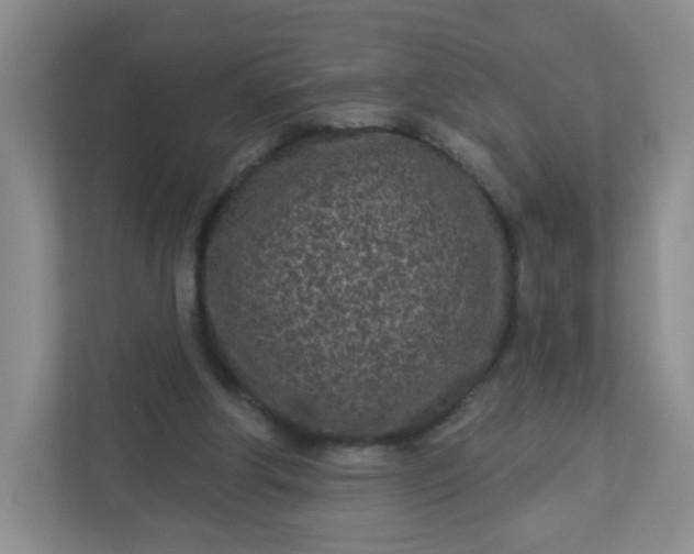 X0000113320202200909281214