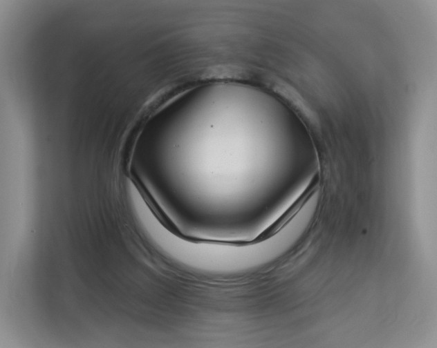 X0000113320203200909281214