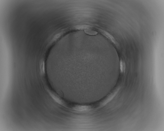 X0000113320205200909281214