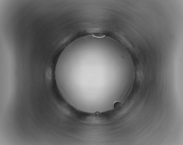 X0000113320211200909281214