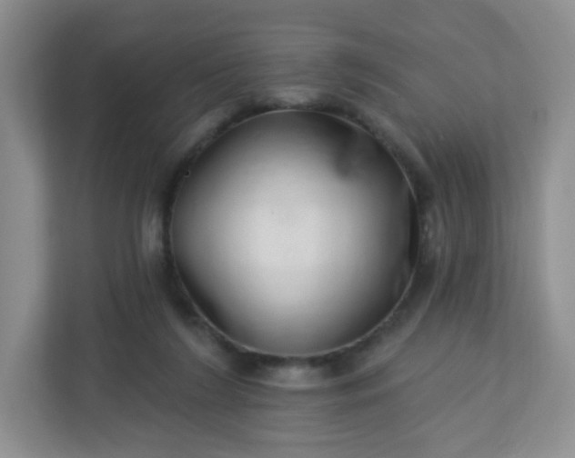 X0000113320212200909281214