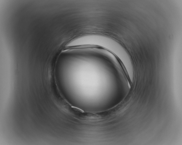 X0000113320215200909281214