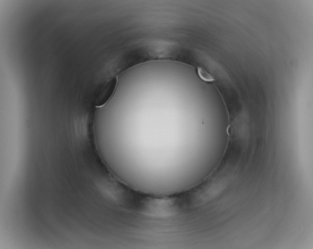 X0000113320217200909281214