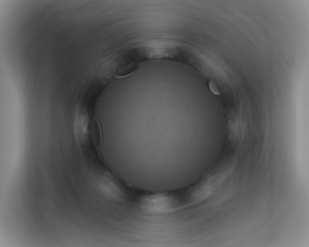 X0000113320219200909281214