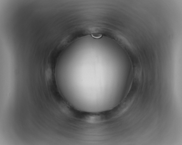 X0000113320220200909281214