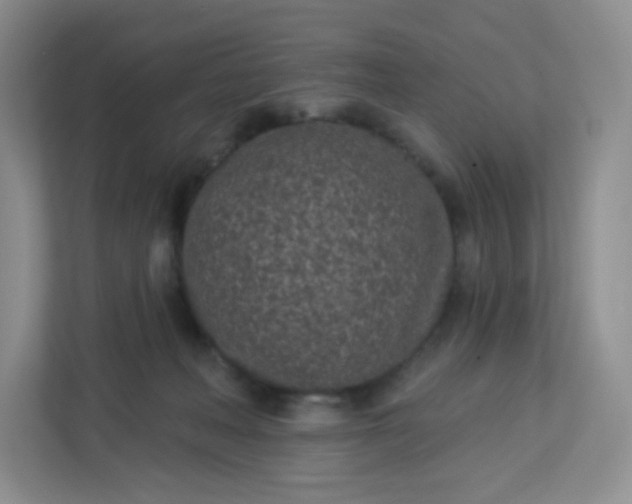 X0000113320222200909281214