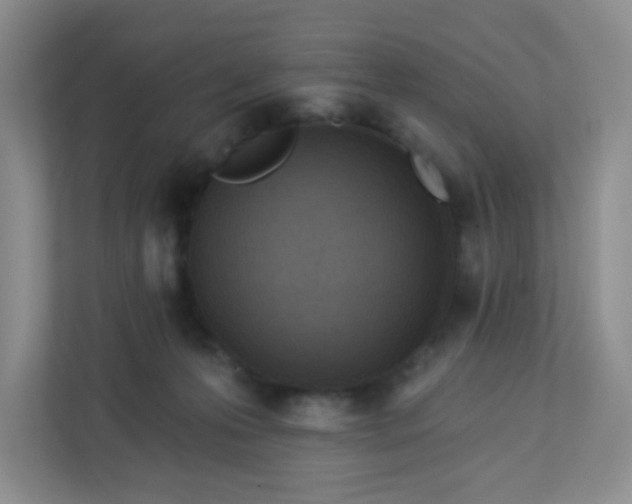 X0000113320223200909281214