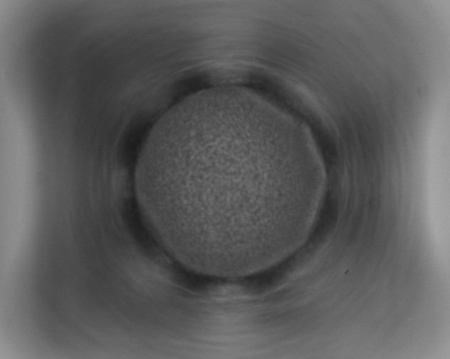 X0000113320224200909281214