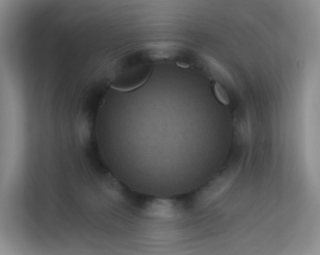 X0000113320227200909281214