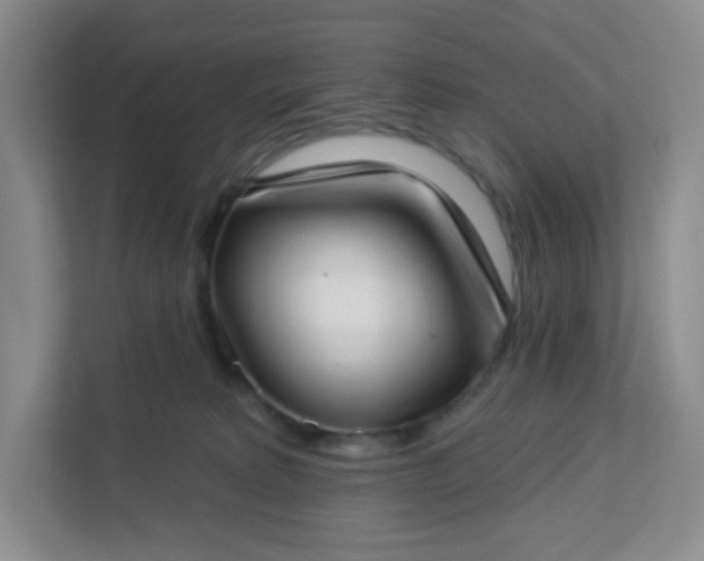 X0000113320229200909281214