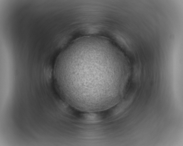 X0000113320230200909281214