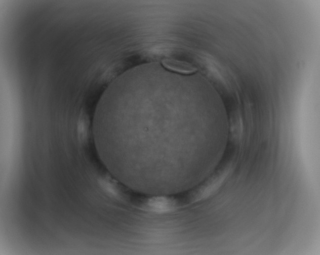 X0000113320231200909281214