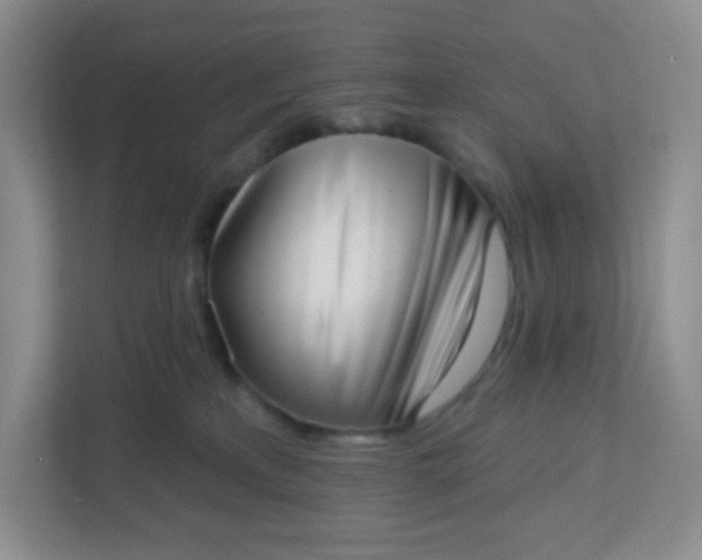 X0000113320233200909281214