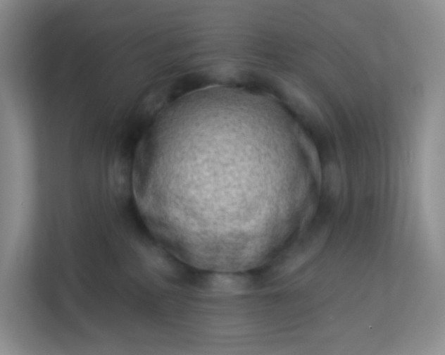 X0000113320234200909281214