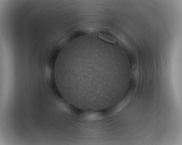 X0000113320235200909281214