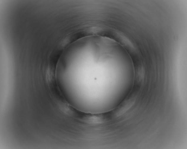 X0000113320236200909281214