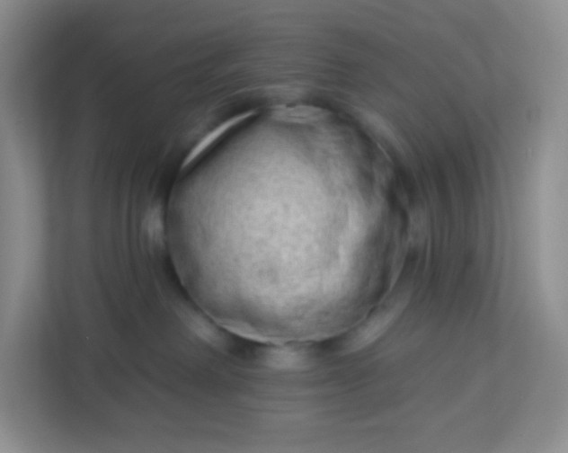 X0000113320238200909281214