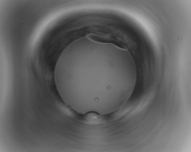 X0000113320239200909281214