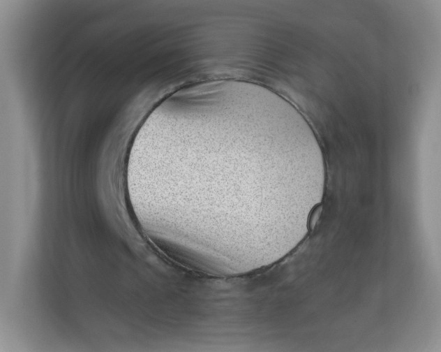 X0000113320241200909281213