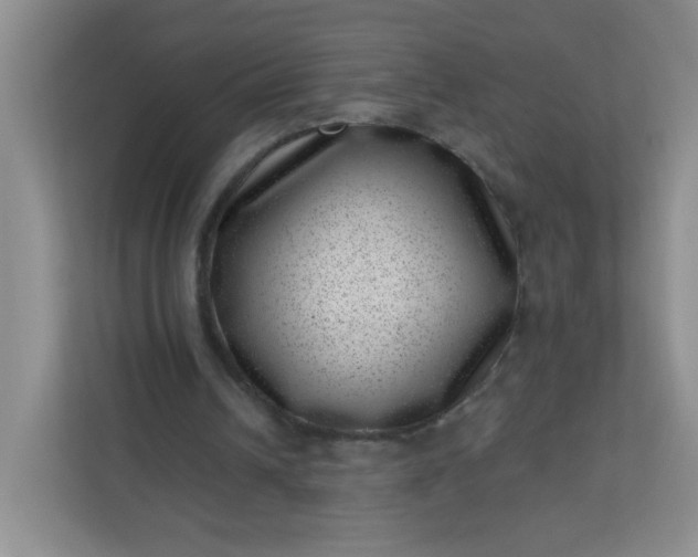 X0000113320242200909281213