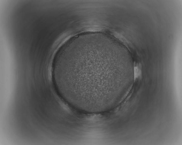 X0000113320243200909281213