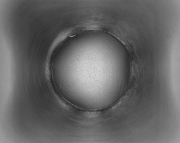 X0000113320245200909281213