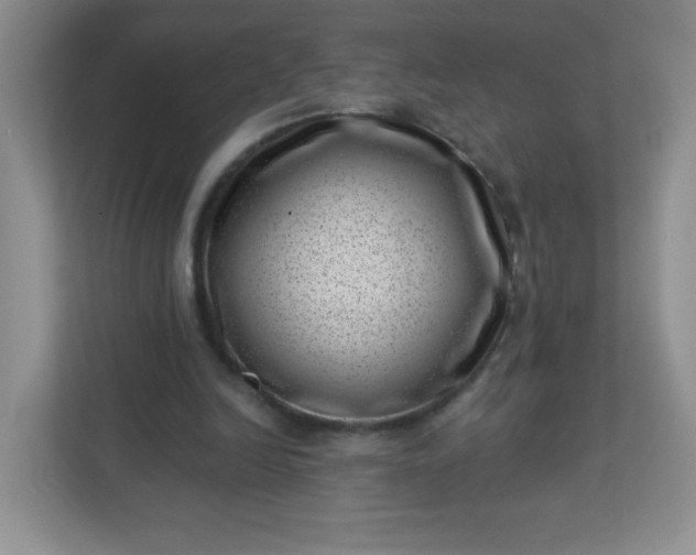 X0000113320246200909281213