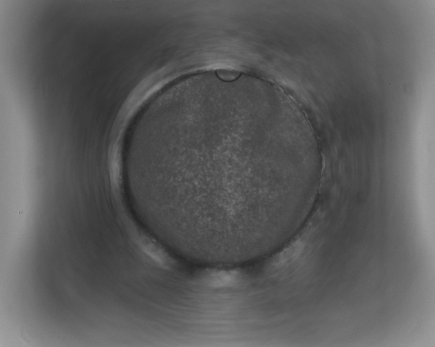 X0000113320247200909281213