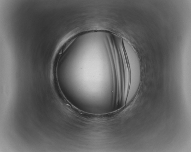 X0000113320248200909281213