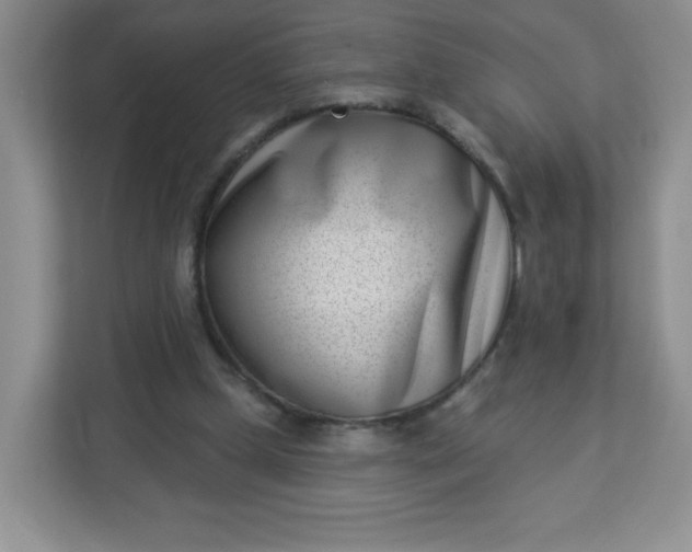 X0000113320249200909281213