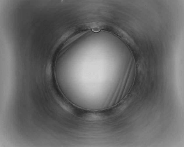 X0000113320250200909281213