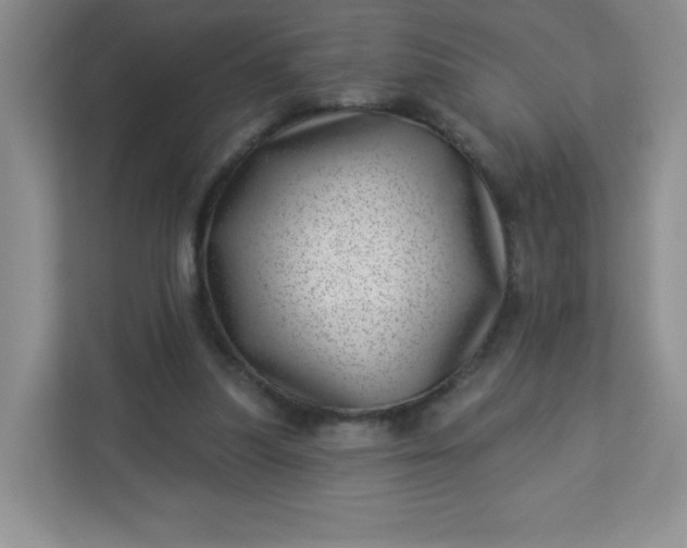 X0000113320251200909281213